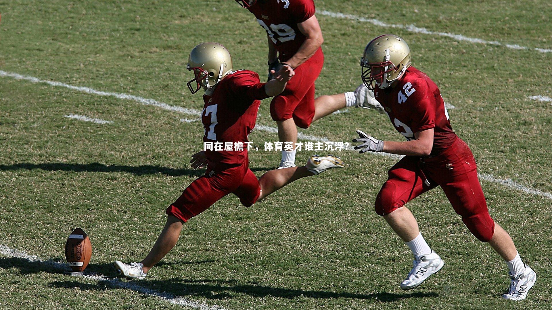 同在屋檐下，体育英才谁主沉浮？